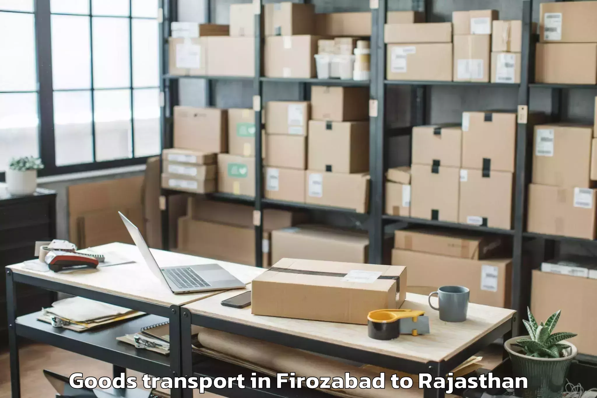 Reliable Firozabad to Mohanlal Sukhadia University U Goods Transport